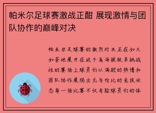 帕米尔足球赛激战正酣 展现激情与团队协作的巅峰对决