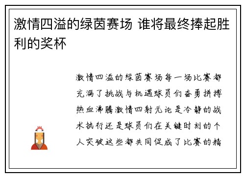 激情四溢的绿茵赛场 谁将最终捧起胜利的奖杯
