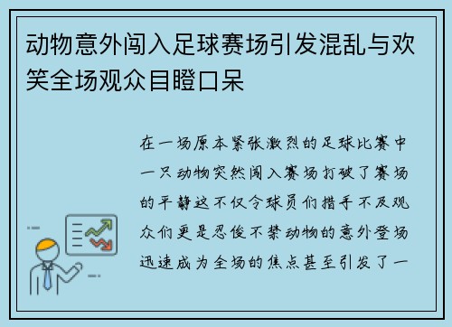 动物意外闯入足球赛场引发混乱与欢笑全场观众目瞪口呆