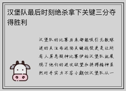 汉堡队最后时刻绝杀拿下关键三分夺得胜利