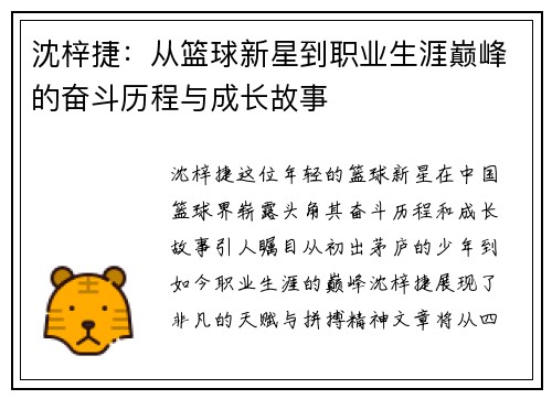 沈梓捷：从篮球新星到职业生涯巅峰的奋斗历程与成长故事