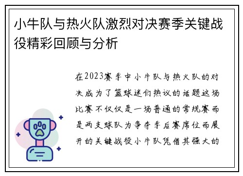 小牛队与热火队激烈对决赛季关键战役精彩回顾与分析